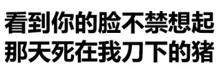 看到你的脸不禁想起那天死在我刀下的猪