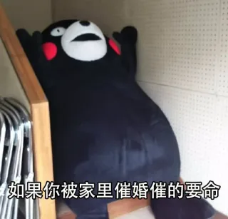 如何应对家长催婚？你需要化被动为主动表情包