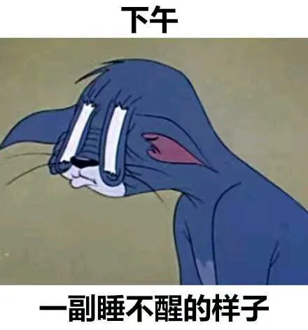 下午，一副睡不醒的样子