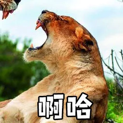 啊哈（狮子）（啊哈（狮子））