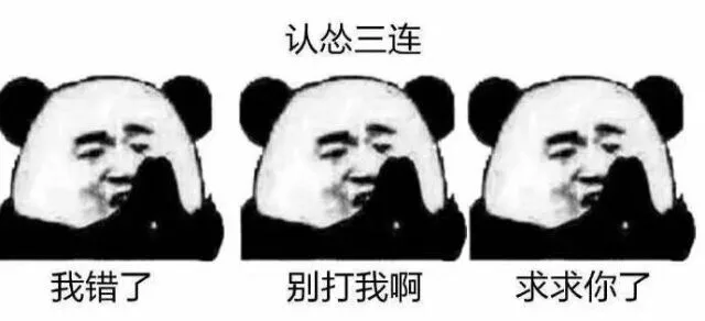 认怂三连：我错了 别打我啊 求求你了