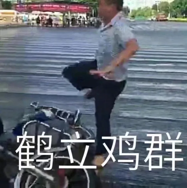 鹤立鸡群（鹤立鸡群）