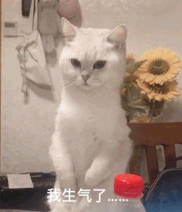 我生气了