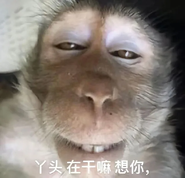 丫头在干嘛想你，（丫头在干嘛想你，）