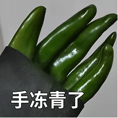 手冻青了（手冻青了）