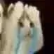 (猫咪流泪)（(猫咪流泪)）