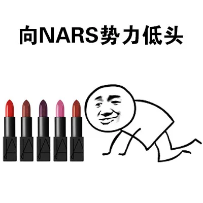 向NARS势力低头（向NARS势力低头）