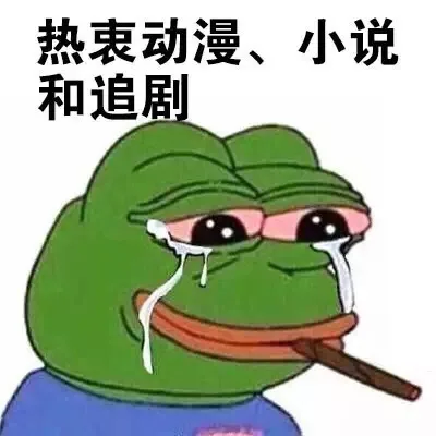 热衷动漫，小说和追剧