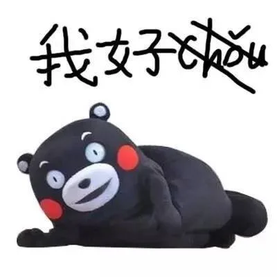 我是一个不知道丑字怎么写的人 _熊本熊