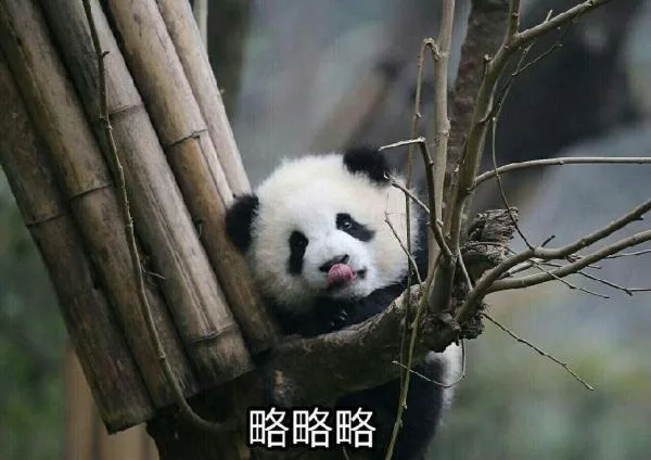 略略略