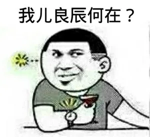 我儿良辰何在？（我儿良辰何在？）