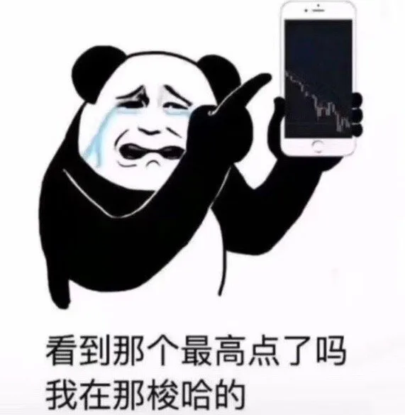 看到那个最高点了吗 我在那梭哈的（看到那个最高点了吗 我在那梭哈的）