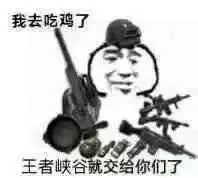 我去吃鸡了 王者峡谷就交给你们了