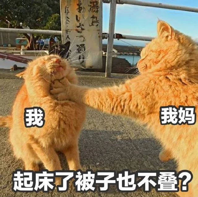 我妈锁喉我：起床了被子也不叠？（我妈锁喉我：起床了被子也不叠？）