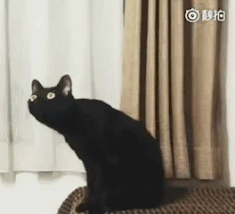 卧槽！！