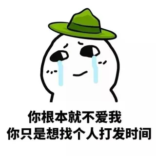 你根本就不爱我你只是想找个人打发时间
