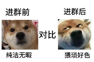 进群前进群后对比纯洁无暇猥琐好色(群聊表情包)（进群前进群后对比纯洁无暇猥琐好色(群聊表情包)）