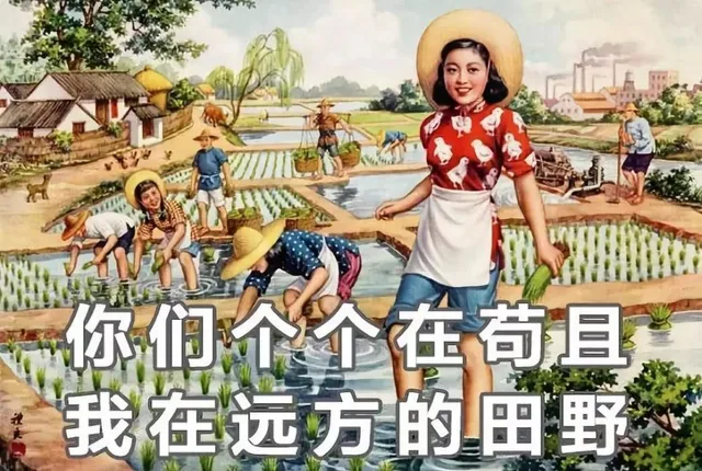 们个个在苟且我在远方的田野（们个个在苟且我在远方的田野）
