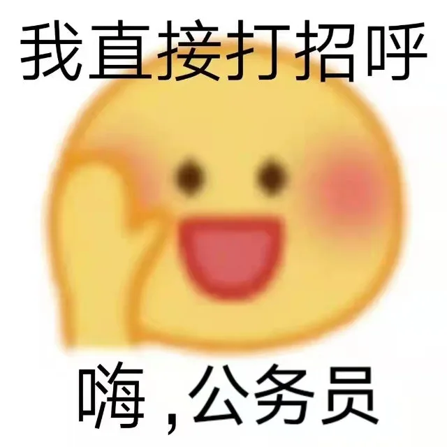 我直接打招呼嗨，公务员（我直接打招呼嗨，公务员）