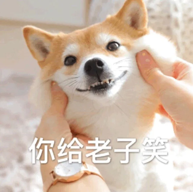 你给老子笑（你给老子笑）