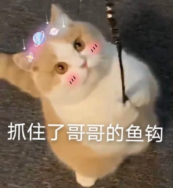 抓住了哥哥的鱼钩（抓住了哥哥的鱼钩）