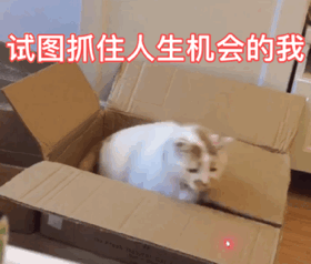 试图抓住人生机会的我（试图抓住人生机会的我）