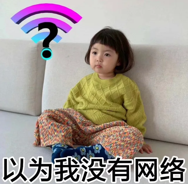 以为我没有网络