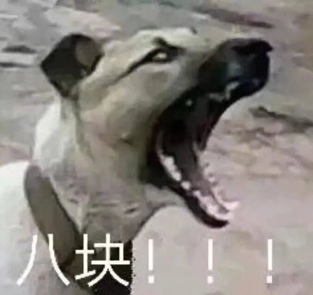 八块!