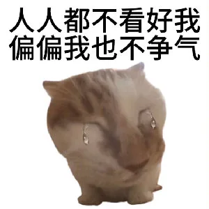 人人都不看好我偏偏我也不争气(流泪猫咪表情包)（人人都不看好我偏偏我也不争气(流泪猫咪表情包)）