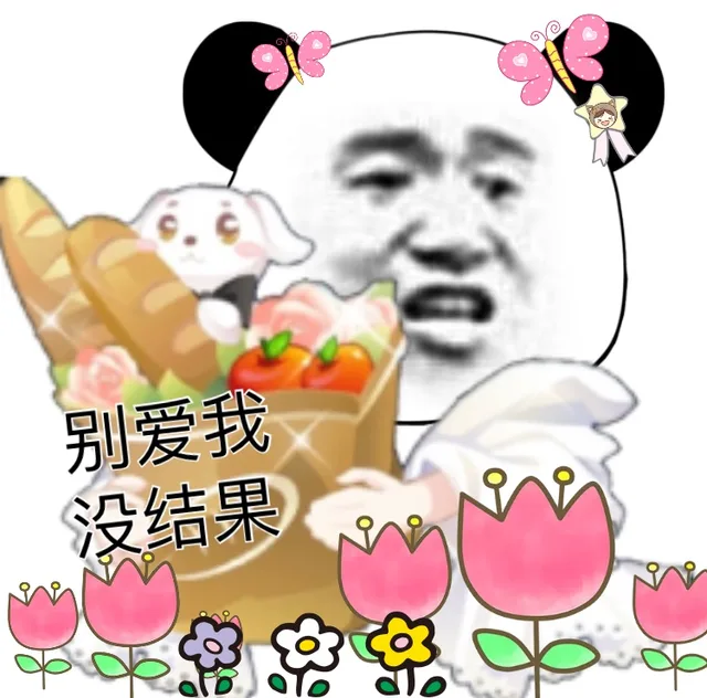 别爱我没结果c（别爱我没结果c）