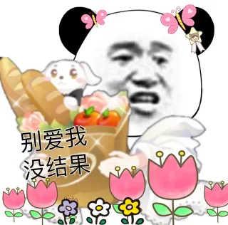 别爱我没结果c