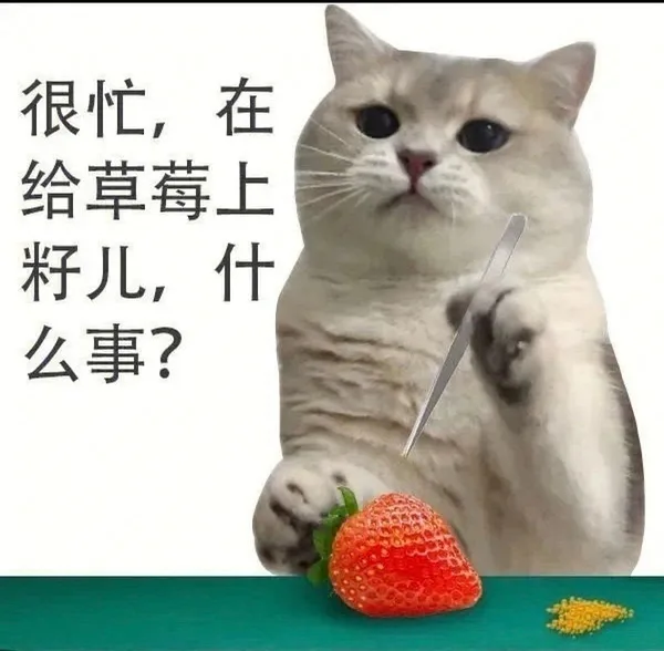 很忙,在给草莓上籽儿,什么事?（很忙,在给草莓上籽儿,什么事?）