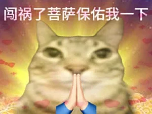 闯祸了菩萨保佑我一下（闯祸了菩萨保佑我一下）