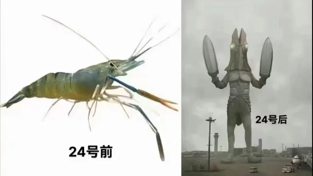 24号后24号前（24号后24号前）