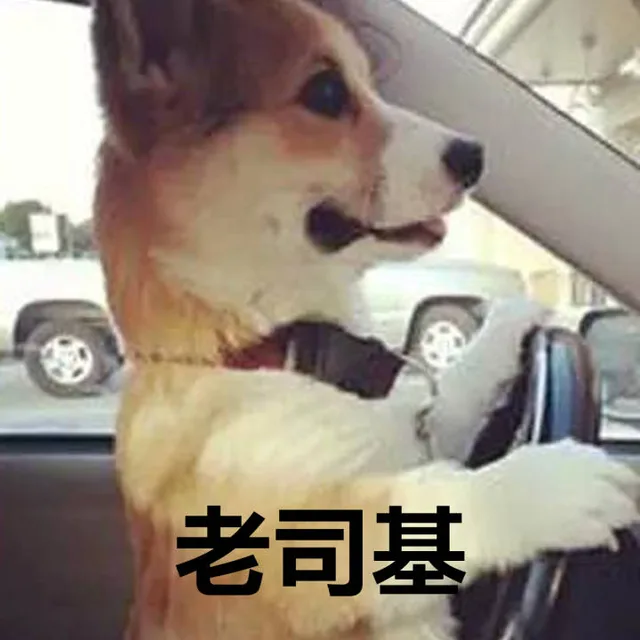 数>老司基