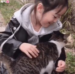 权律二抱猫咪