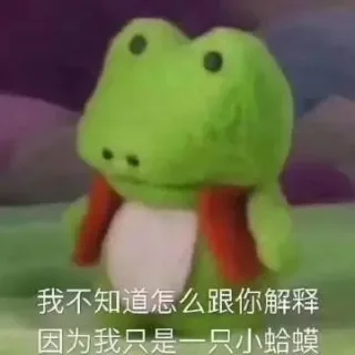 我不知道怎么跟你解释 因为我只是一直小青蛙