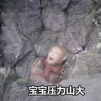 宝宝压力山大（宝宝压力山大）