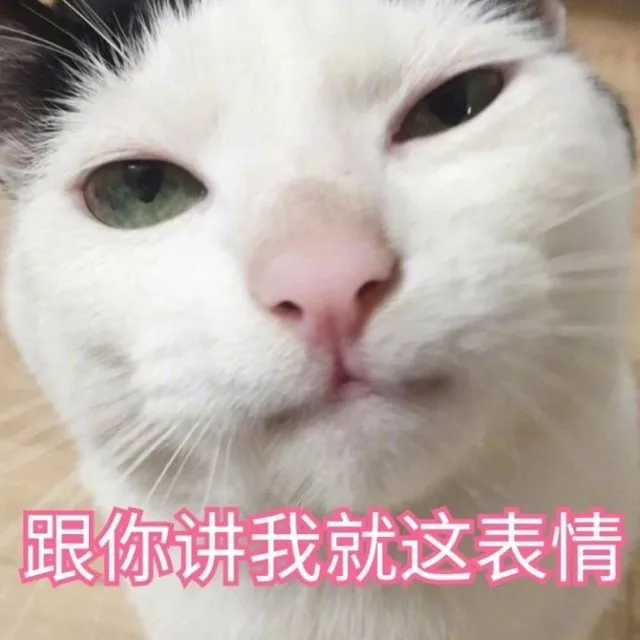 跟你讲我就这表情（跟你讲我就这表情）