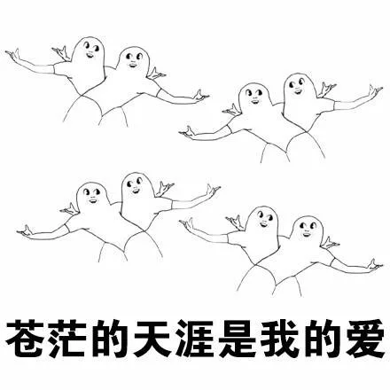 苍茫的天涯是我的爱