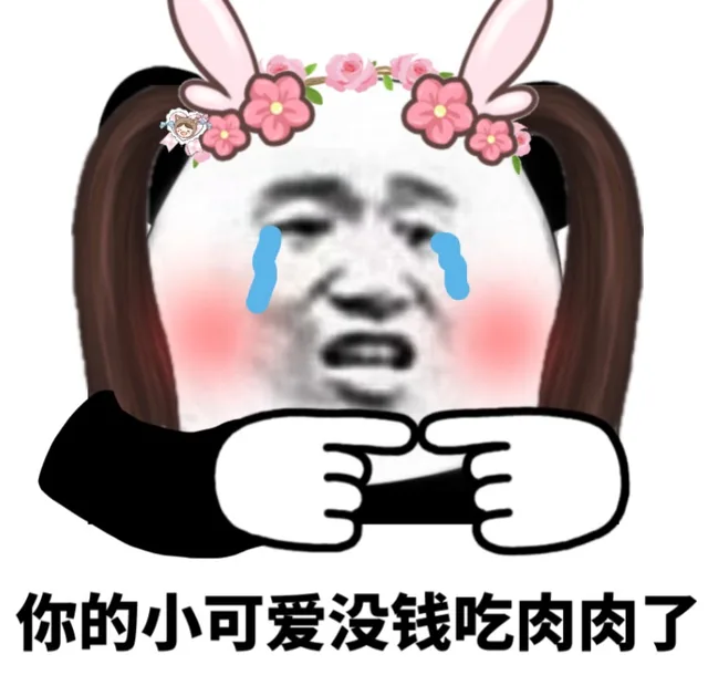 你的小可爱没钱吃肉肉了