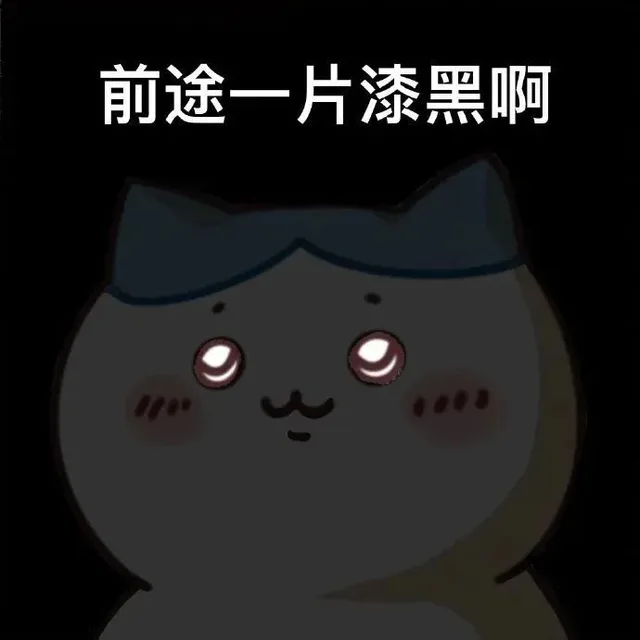 前途一片漆黑啊（前途一片漆黑啊）