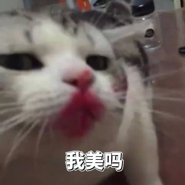 我美吗（我美吗）