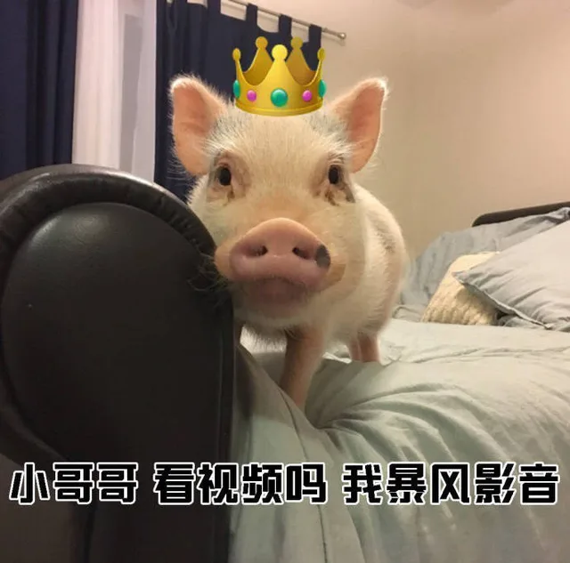 小哥哥看视频吗我暴风影音