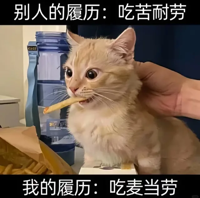 别人的履历：吃苦耐劳我的履历：吃麦当劳（别人的履历：吃苦耐劳我的履历：吃麦当劳）