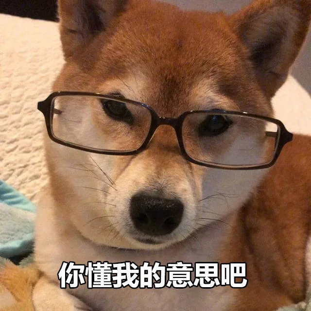 你懂我的意思吧