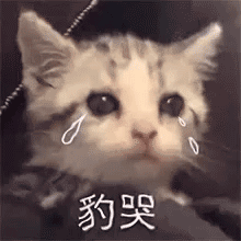 哭泣表情包系列