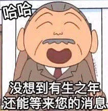 哈哈没想到有生之年还能等来您的消息（哈哈没想到有生之年还能等来您的消息）