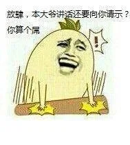 放肆，本大爷讲话还要向你请示了？你算个屌！