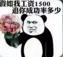 假如我工资1500，追你成功率多少？